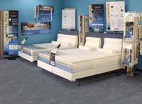 3-in-One Bed Display